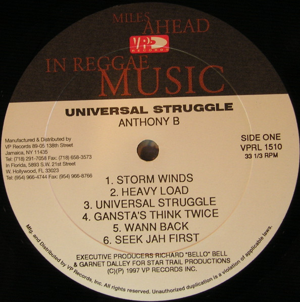 Anthony B.* - Universal Struggle (LP, Album)