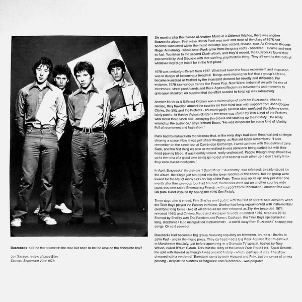 Buzzcocks - Love Bites (LP, Album, RE, RM, Emb)