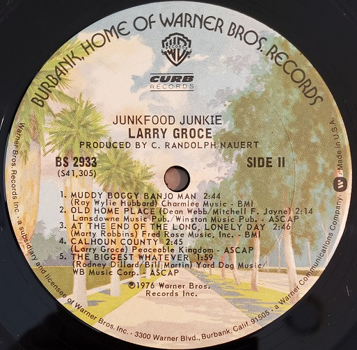 Larry Groce - Junkfood Junkie (LP, Album, Pit)