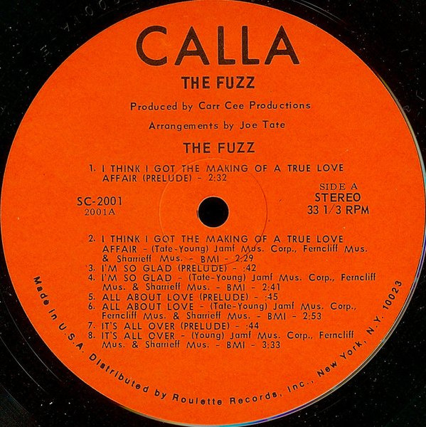 The Fuzz (4) - The Fuzz (LP, Album)