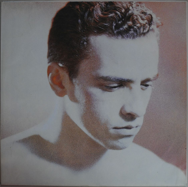 Eros Ramazzotti - In Ogni Senso (LP, Album)