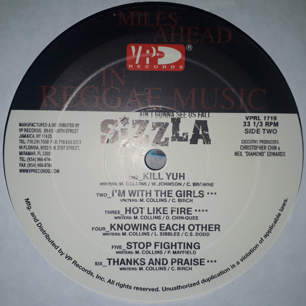 Sizzla Kalonji* - Ain't Gonna See Us Fall (LP, Album)