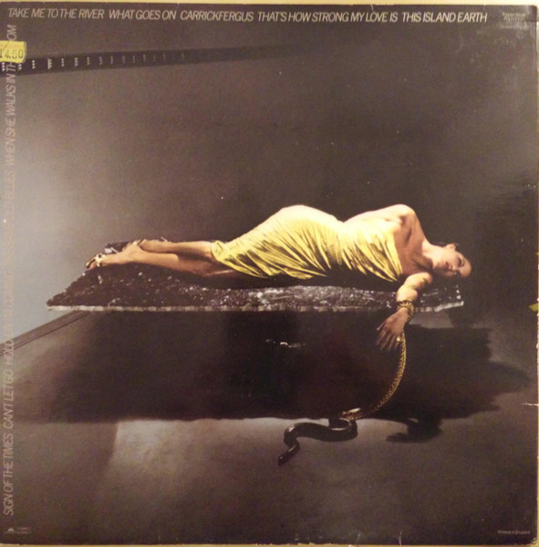 Bryan Ferry - The Bride Stripped Bare (LP, Album)