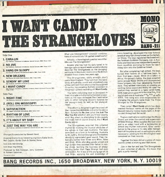 The Strangeloves - I Want Candy (LP, Album, Mono)