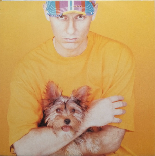 Pet Shop Boys - Introspective (LP, Album)