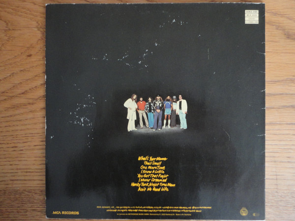 Lynyrd Skynyrd - Street Survivors (LP, Album)