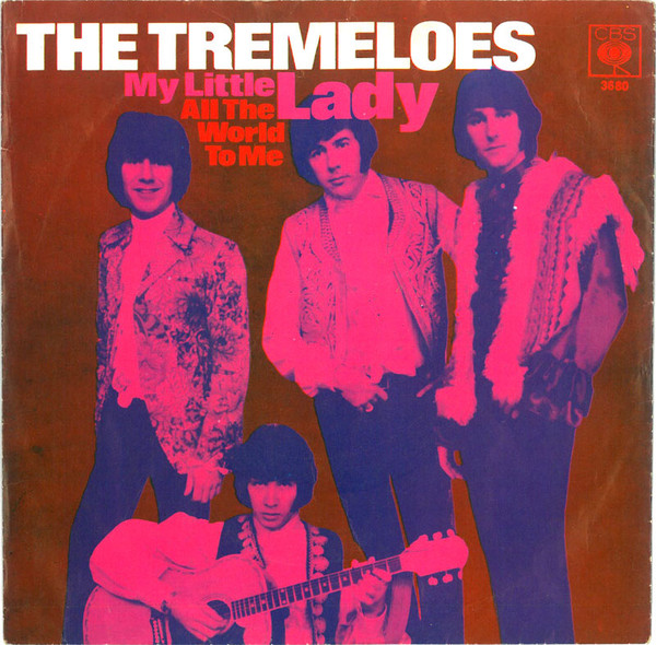 The Tremeloes - My Little Lady (7