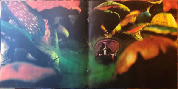 Rick Wakeman - Journey To The Centre Of The Earth (LP, Album, Gat)