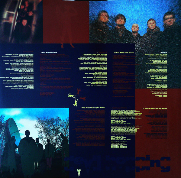 Inspiral Carpets - Devil Hopping (LP, Album)