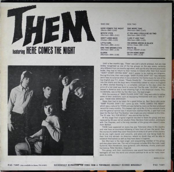 Them (3) - Here Comes The Night (LP)