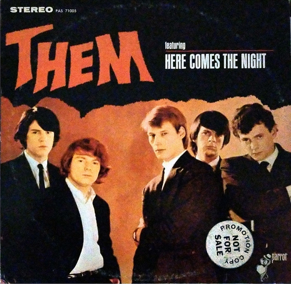 Them (3) - Here Comes The Night (LP)