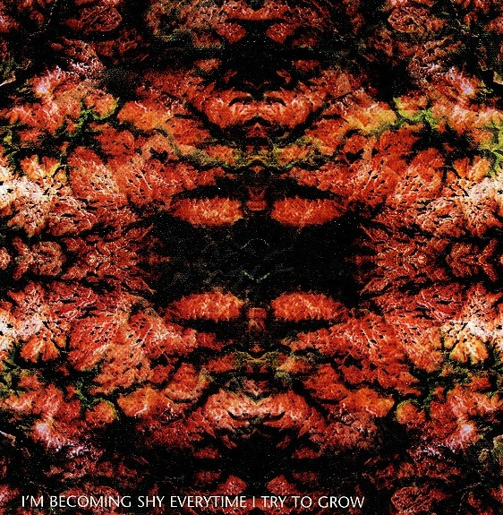 Meathook Seed - Basic Instructions Before Leaving Earth (CD, Album)