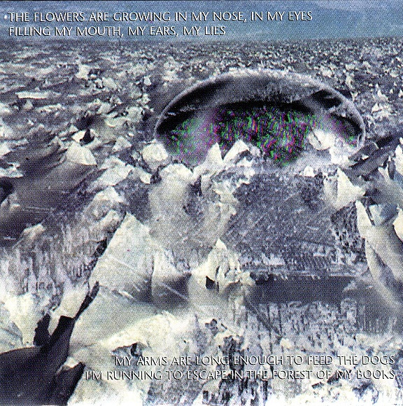 Meathook Seed - Basic Instructions Before Leaving Earth (CD, Album)
