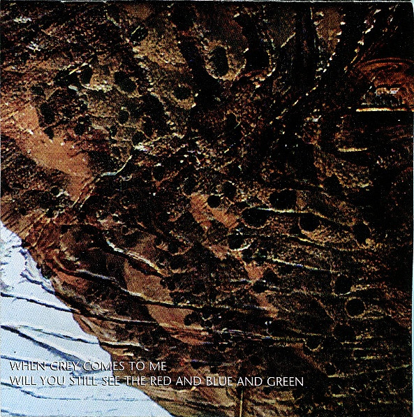 Meathook Seed - Basic Instructions Before Leaving Earth (CD, Album)