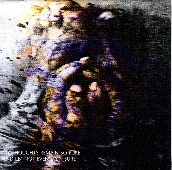 Meathook Seed - Basic Instructions Before Leaving Earth (CD, Album)