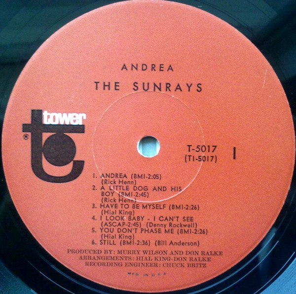 The Sunrays - Andrea (LP, Album, Mono, Scr)