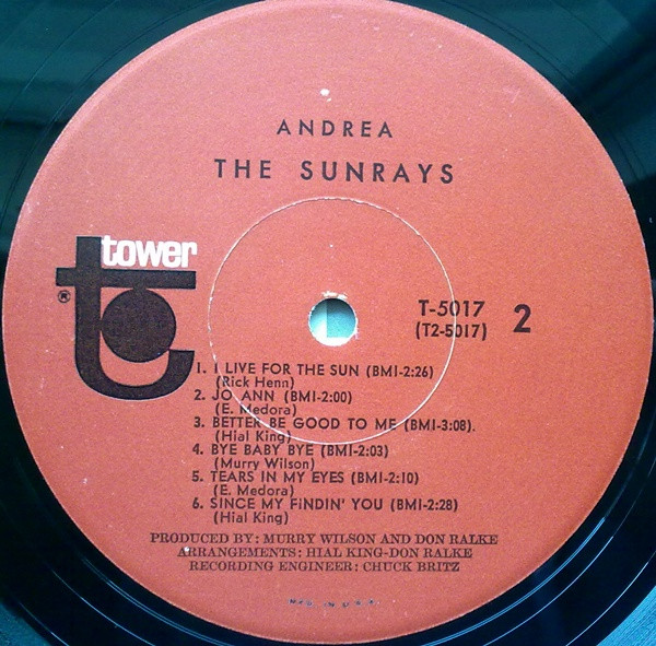 The Sunrays - Andrea (LP, Album, Mono, Scr)