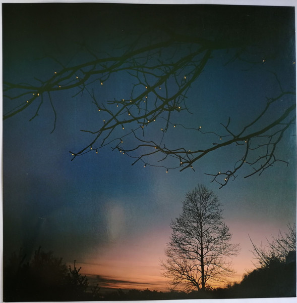 Windham Hill Artists - A Winter's Solstice (LP, Comp)