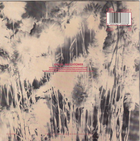 The Psychedelic Furs - House (7