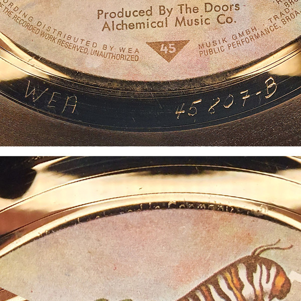 The Doors - The Mosquito (7