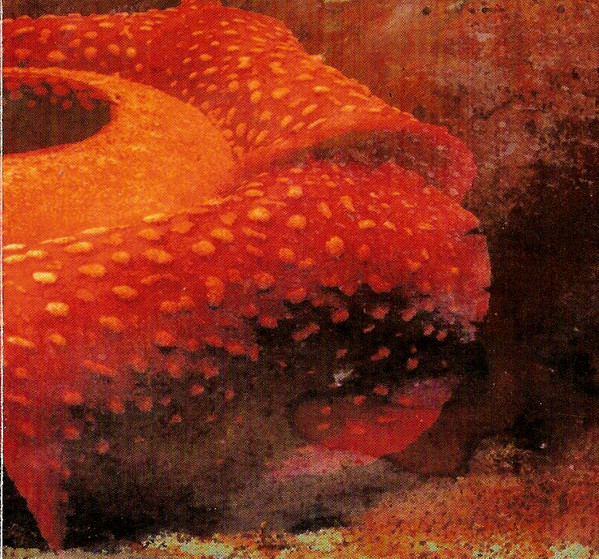 Gigandhi - Rafflesia (CD, Album)