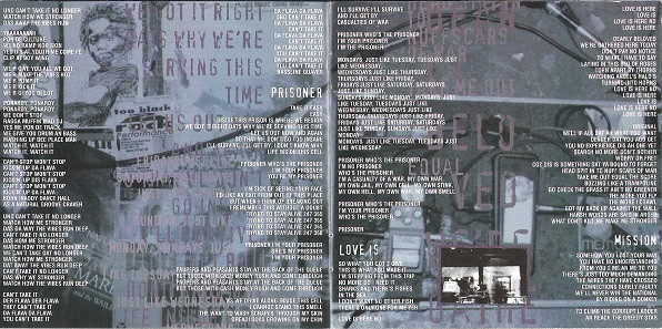 Dub War - Wrong Side Of Beautiful (CD, Album)
