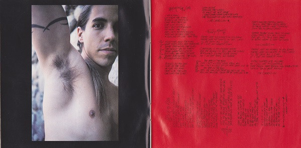 Red Hot Chili Peppers - Blood Sugar Sex Magik (CD, Album)