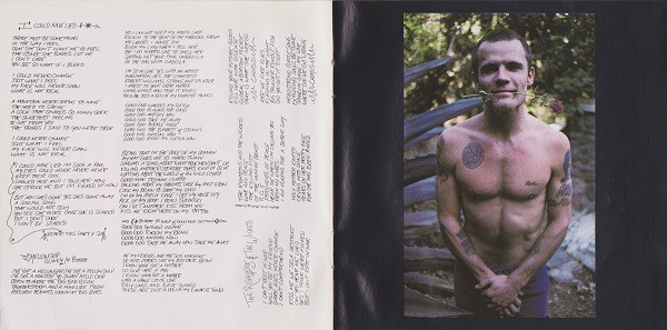 Red Hot Chili Peppers - Blood Sugar Sex Magik (CD, Album)
