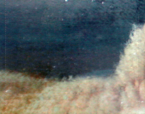 Red Hot Chili Peppers - By The Way (CD, Album)