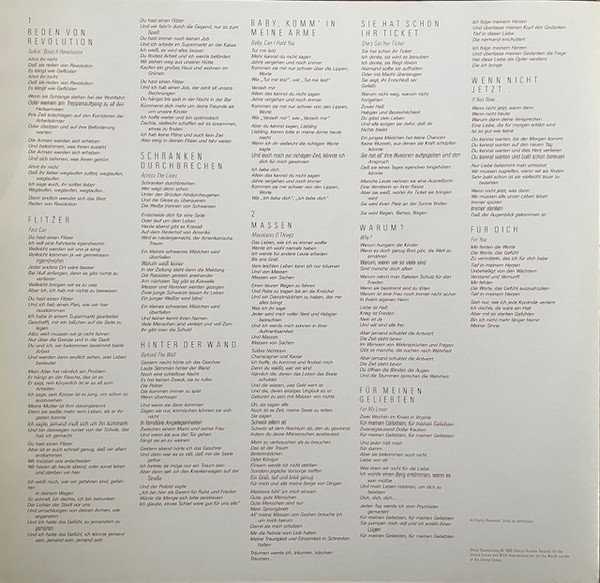 Tracy Chapman - Tracy Chapman (LP, Album, Mat)