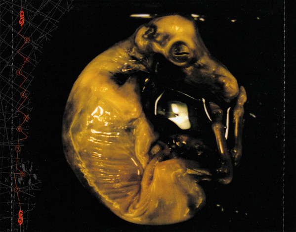 Slipknot - Iowa (CD, Album)