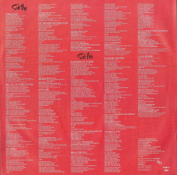 Tina Turner - Break Every Rule (LP, Album)