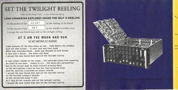 Lou Reed - Set The Twilight Reeling (CD, Album)