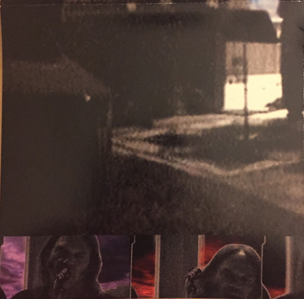 Neil Young - Are You Passionate? (CD, Album, Car)
