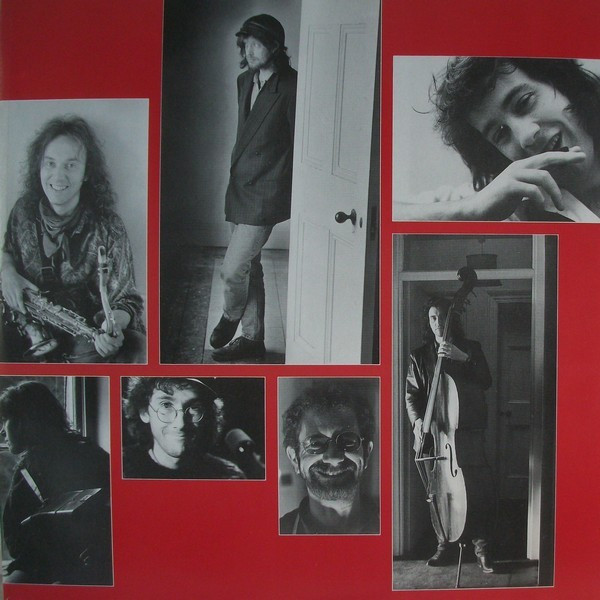 The WaterBoys - Room To Roam (LP, Album)