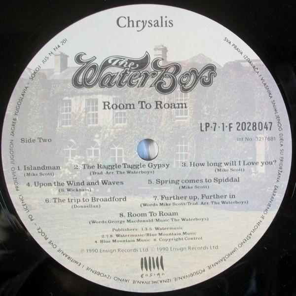 The WaterBoys - Room To Roam (LP, Album)