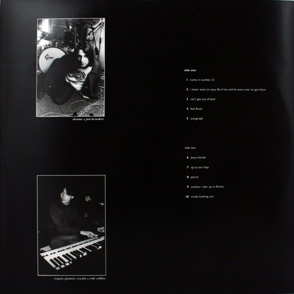 The Charlatans - Up To Our Hips (LP, Album)