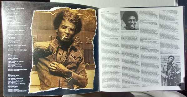 Jimmy Cliff - Pop Chronik (2xLP, Comp)