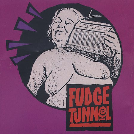 Fudge Tunnel - Fudgecake (CD, Comp)