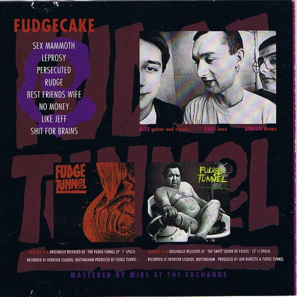 Fudge Tunnel - Fudgecake (CD, Comp)