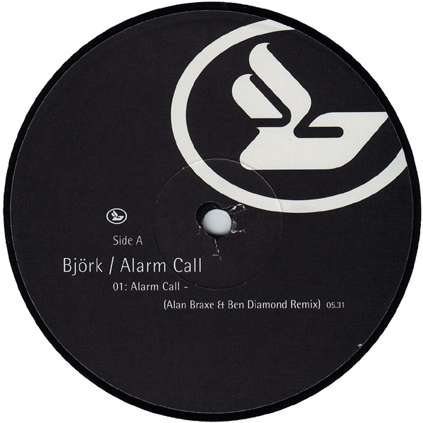 BjÃ¶rk - Alarm Call (12