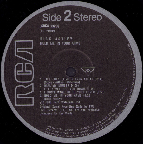 Rick Astley - Hold Me In Your Arms (LP, Album)
