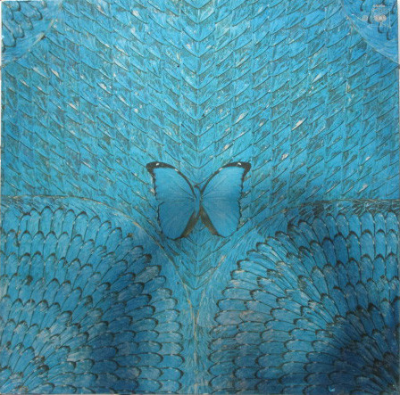 Santana - Borboletta (LP, Album, RE)